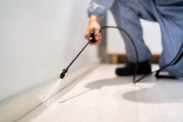 Licensed Termite Control service in Gadsden, AL - Nex Pest Control
