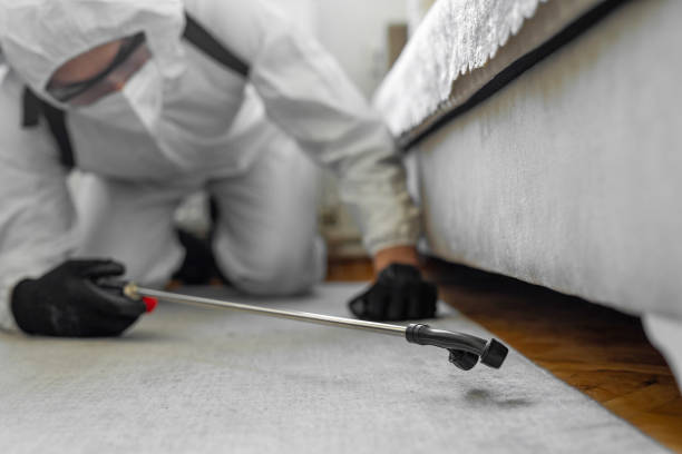 Professional Termite Control technician working in Gadsden, AL