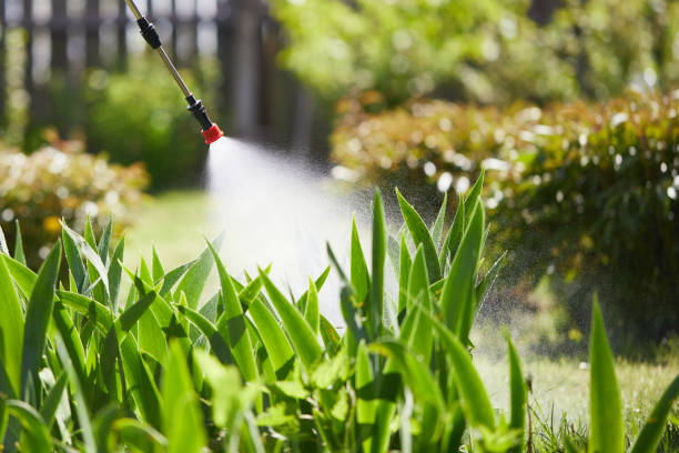 24/7 Emergency Termite Control experts in Gadsden, AL