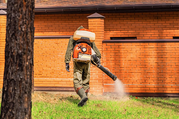 Top rated local Termite Control specialists in Gadsden, AL